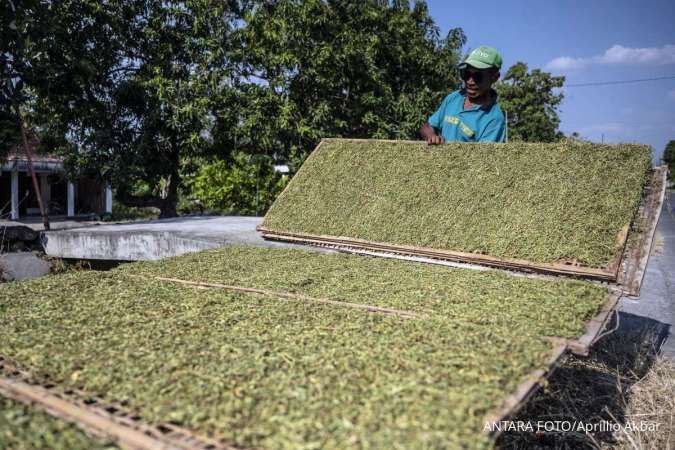 DBH Cukai Rokok 2027 Dirombak, Pemberantasan Rokok Ilegal Jadi Prioritas