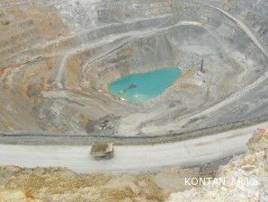 Pemerintah akan eksekusi divestasi 7% saham Newmont