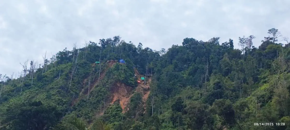 Tambang Ilegal Ditertibkan, Ratusan Hektare Lahan Kembali ke Negara