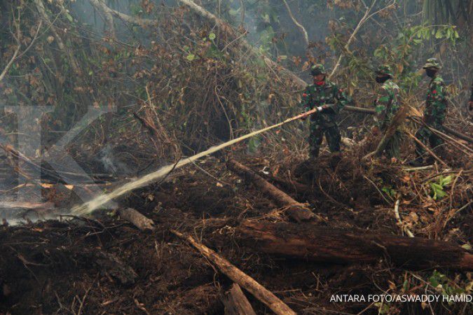 Empat perusahaan diduga terlibat pembakaran hutan