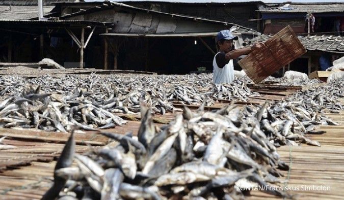 Perinus akan pakai dana PMN dongkrak produksi ikan