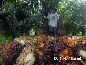  Emiten sawit belum terimbas moratorium