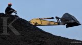 IMI Soroti Kecilnya Porsi Produksi BUMN di Sektor Minerba
