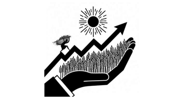 Relaksasi HET Beras & Pasar Asimetris