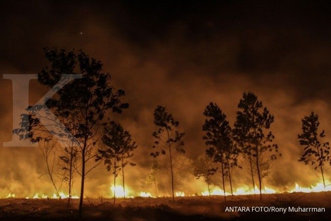 Kebakaran hutan dan lahan turun 83%