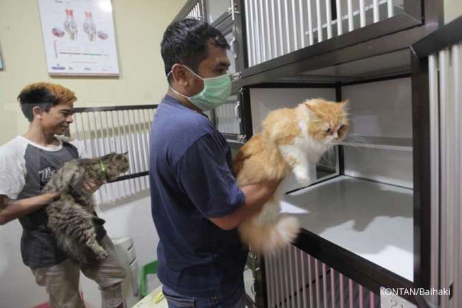 Ini Modal yang Dibutuhkan untuk Mendirikan Hotel Hewan yang Layak 