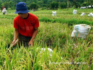 Deptan Bakal Ambil Alih Industri Primer Pertanian