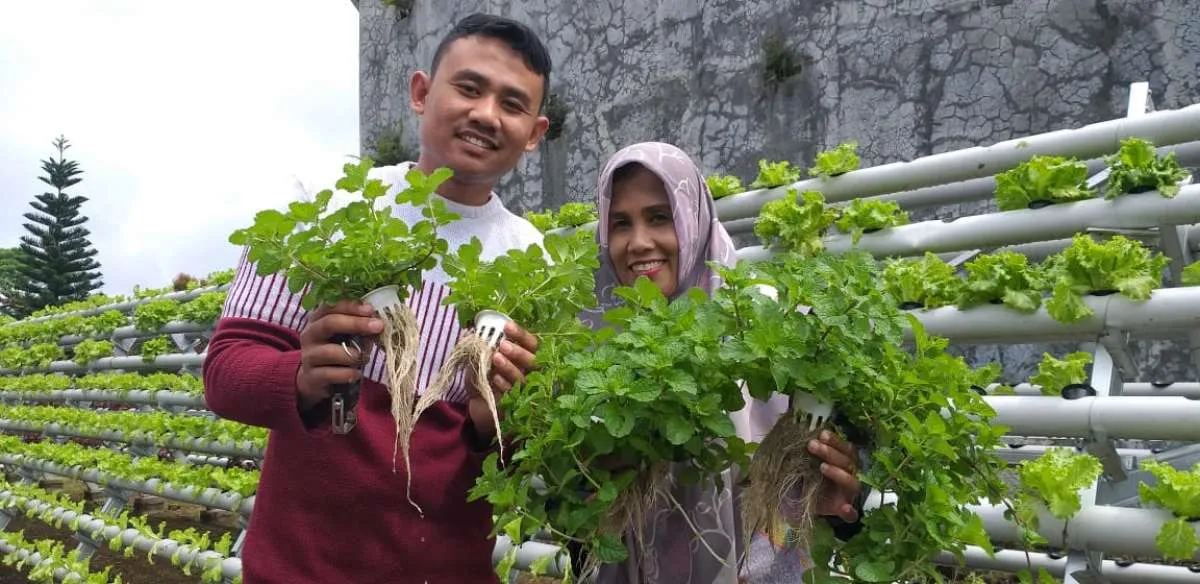 Jumlah Petani Gen Z Hanya 2,14%, Serikat Petani: Reforma Agraria Tak Optimal