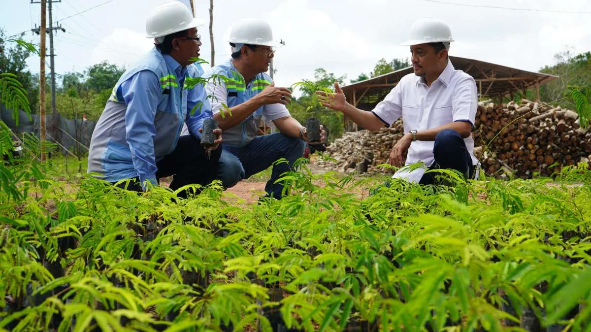 Maharaksa Biru Energi (OASA) Catat Pendapatan Naik 121% di Kuartal I-2024