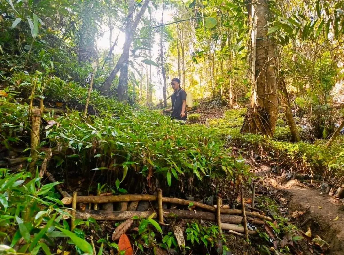 Rehabilitasi DAS Jadi Kunci Atasi 12,7 Juta Hektare Lahan Kritis Indonesia