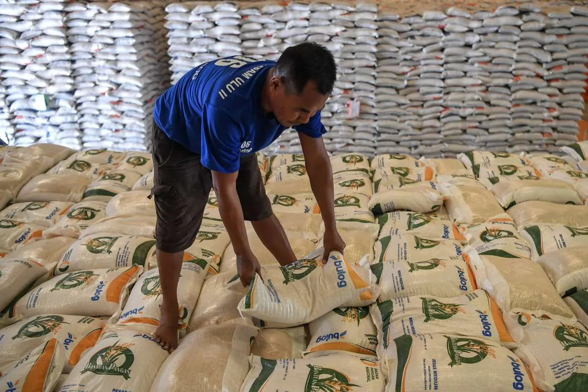 Zulhas Tegaskan Tak Ada Impor Beras, Jagung Pakan, Gula, dan Garam Tahun 2025