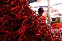 Waspadai Kenaikan Inflasi Pangan Imbas El Nino 