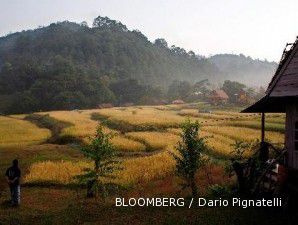Thailand tingkatkan target ekspor beras di atas 10 juta metrik ton tahun ini