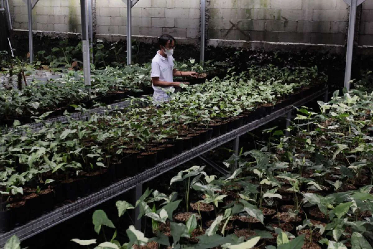 BNI Sudah Salurkan KUR Senilai Rp 32,3 Triliun Per November 2022