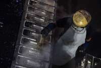 RUPST PT Timah (TINS) Putuskan Tebar Dividen, Cek Besarannya