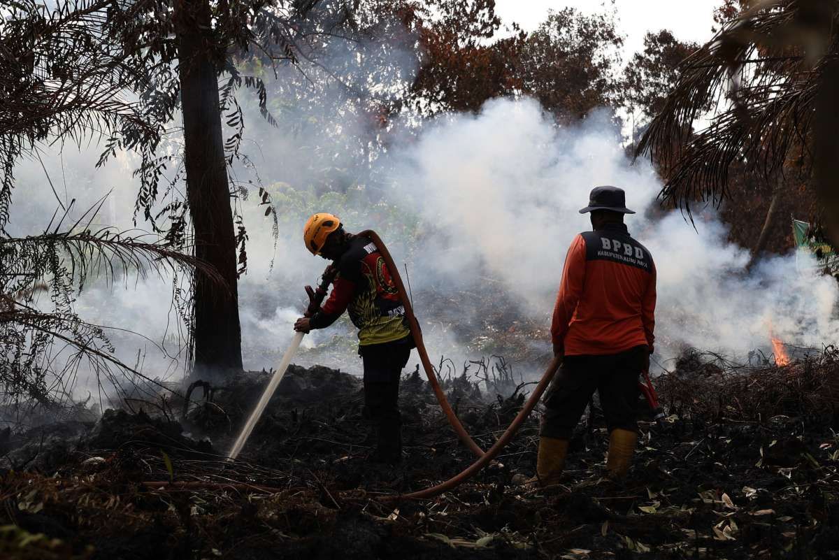 Memburu Korporasi yang Menjadi Dalang Karhutla