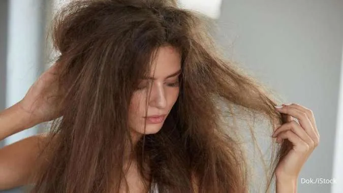 Rambut Kering? Ini 5 Cara Memilih Sampo untuk Rambut Kering dengan Tepat