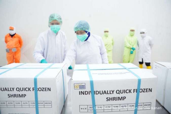 Kala Bisnis Emiten Anak Jokowi Terancam Tuduhan Anti Dumping dan CVD dari AS