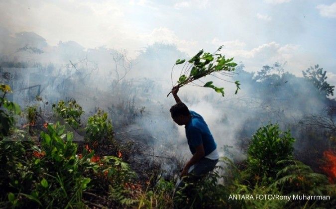 Pemerintah fokus kebakaran lahan di 4 provinsi 