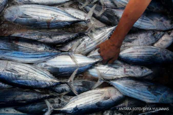 Soal Progres Pengembangan Lumbung Ikan Nasional, Ini Penjelasan Kemenko Marves