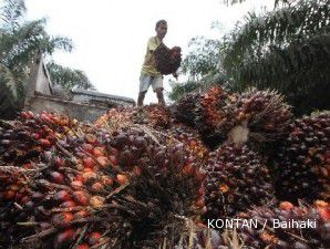 Hilirisasi sawit, Sinar Mas siapkan investasi Rp 9 triliun