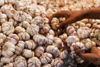 Harga Bawang Putih Capai Rp 43.000/kg, DPR Singgung Soal Mafia Impor Bawang Putih