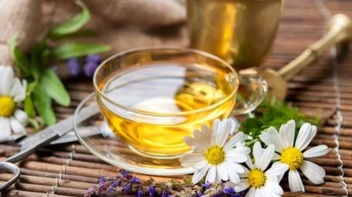 Simak 5 Obat Asam Urat Alami yang Aman Untuk Dikonsumsi