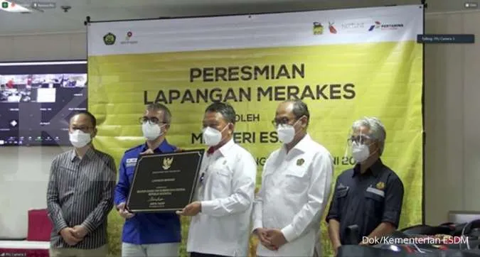Indonesia's Merakes gas field disrupted, production affected for up to 6 months