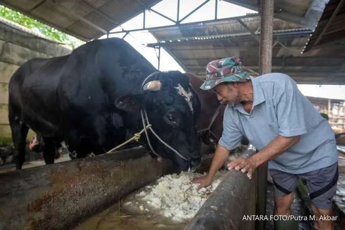 Tips Menyiapkan Dana Kurban agar Keuangan Tetap Aman