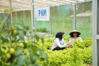 Indonesia Sustainability Award Apresiasi Komitmen ESG dan Pemberdayaan PNM
