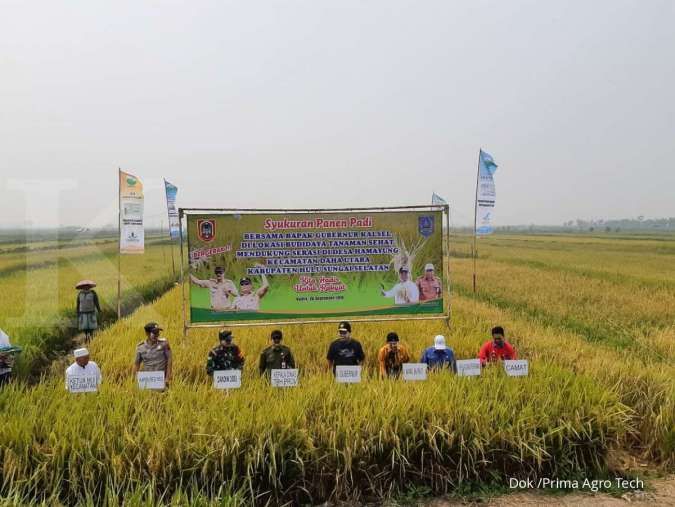Prima Agro Tech gelar panen perdana budidaya padi sehat di lahan rawa, Kalsel