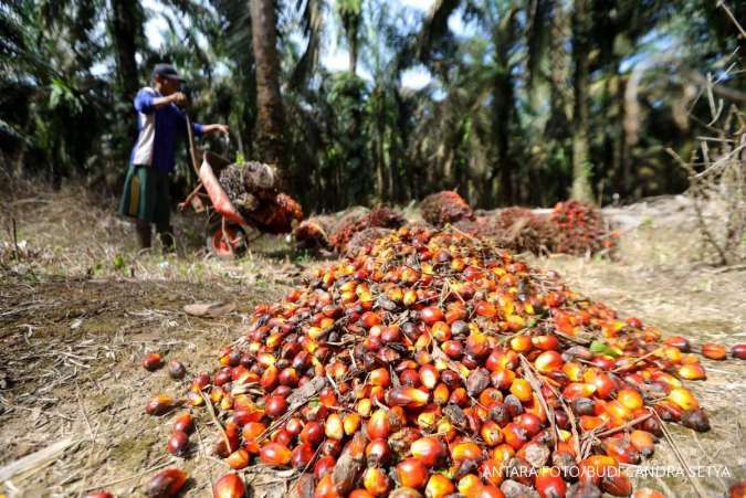 Indonesia Seeks to Balance International, Local Palm Oil Demand -Official