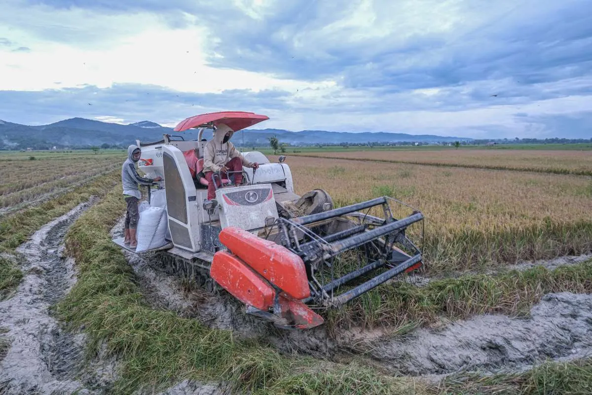 KTNA Harap Pemerintah Konsisten Pangkas Regulasi yang Hambat Kemajuan Pertanian