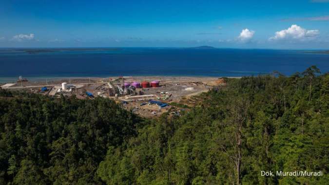 Laba Vale Indonesia (INCO) Melejit 313%, Tingginya Harga Nikel Jadi Pendorong Utama