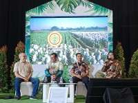 Asosiasi Minta Kementan Lindungi Keberlangsungan Tembakau & Cengkeh