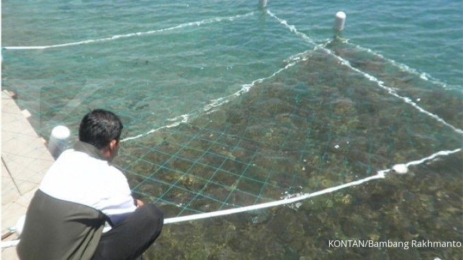 KKP targetkan 10,6 juta ton produksi rumput laut
