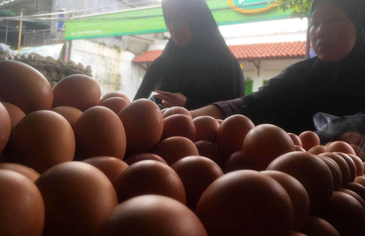Hore, Harga Telur Turun Terus