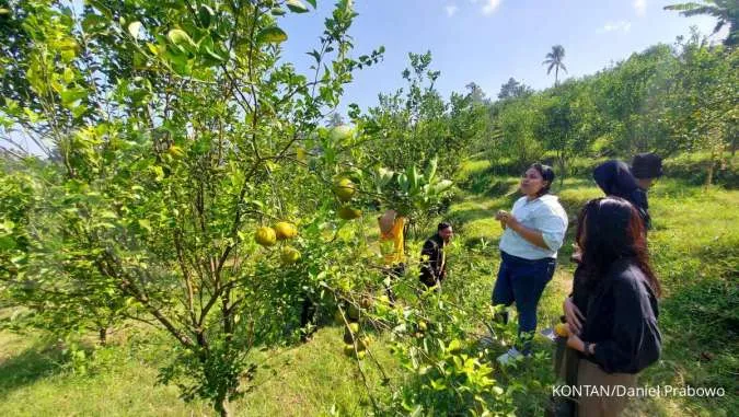 Waspada Kabut/Asap Masih Menyelimuti Jawa Timur, Cek Cuaca dan Suhu Besok (7/10)
