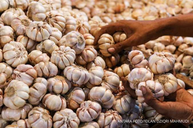 Harga Pangan Malut : Bawang Putih dan Telur Ayam Naik, Kamis (19/12)