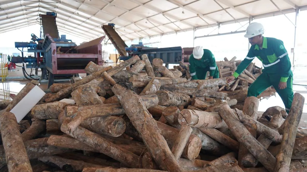 Maharaksa Biru (OASA) Tragetkan Pabrik Biomassa di Blora Rampung Akhir 2024