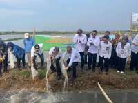 PGN dan BRIN Dorong Nilai Ekonomi Lahan Pesisir Batang Lewat Minapadi Salin