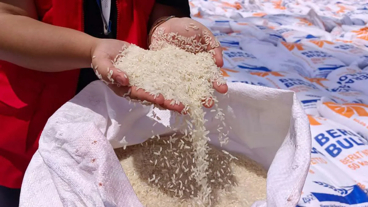Pemerintah Buka Peluang Impor Beras Lagi Sebanyak 1,5 Juta Ton, Demi Amankan Stok