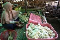 Kereta Khusus Petani-Pedagang Dinilai Bisa Tekan Urbanisasi dan Gerakkan Ekonomi Desa