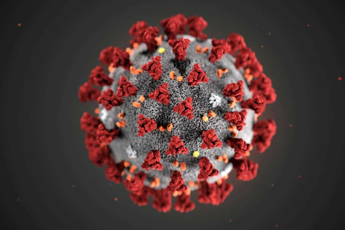 Virus corona merebak, Indonesia masih belum tutup jalur pelayaran dari dan ke China