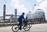Pertamina: Belum ada 