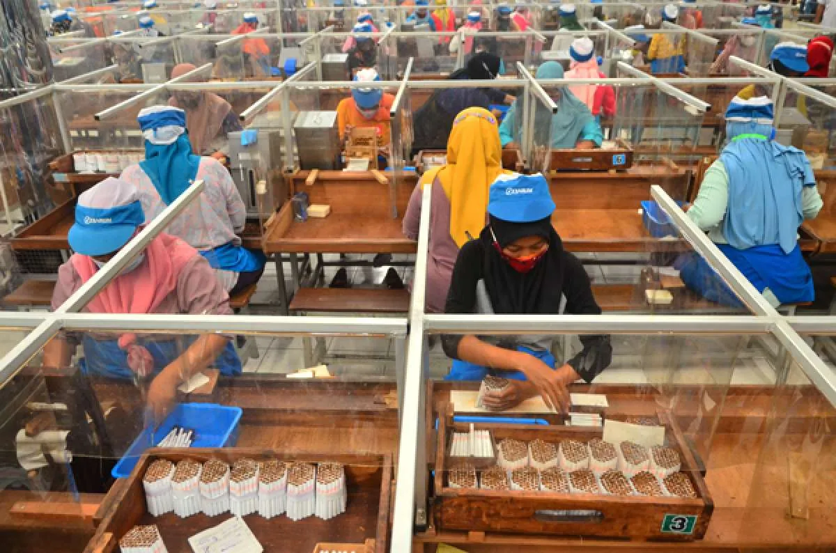Banyak serap tenaga kerja, kenaikan tarif cukai rokok SKT lebih rendah 