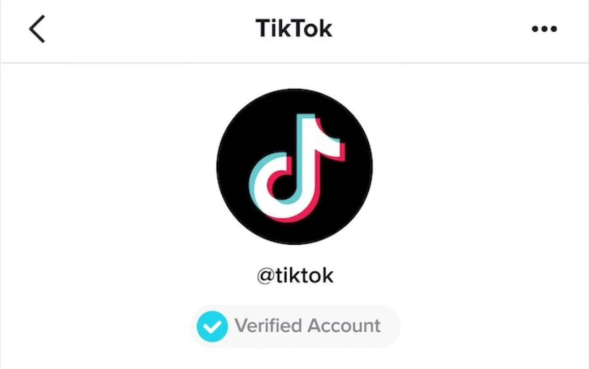Ingin Video TikTok yang Didownload Bebas Watermark? Cek Caranya Ini