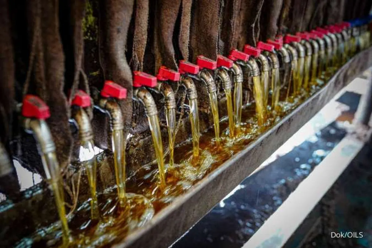 Intip Rencana Ekspansi Indo Oil Perkasa (OILS) di Tahun 2023