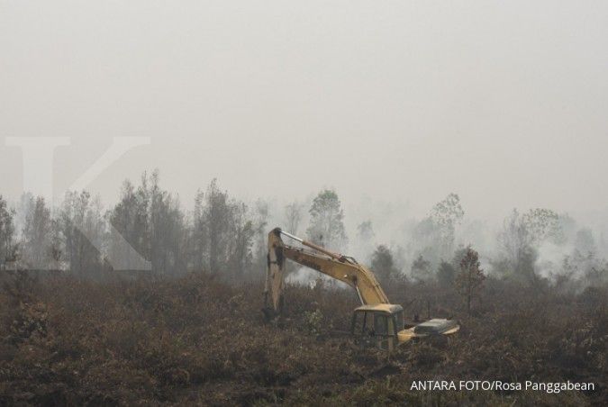 Apa kabar penegakan hukum pembakar hutan?