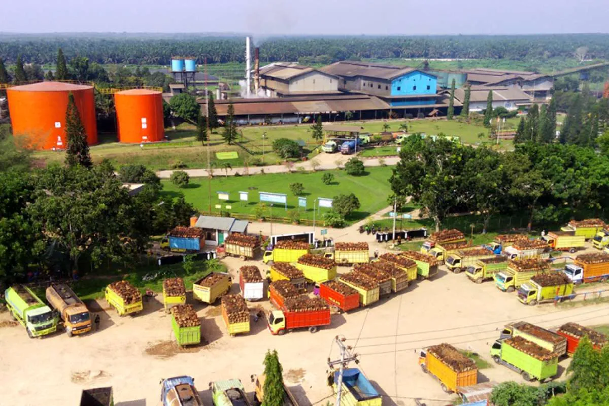 Cermati Prospek Saham Emiten CPO pada Semester II-2023